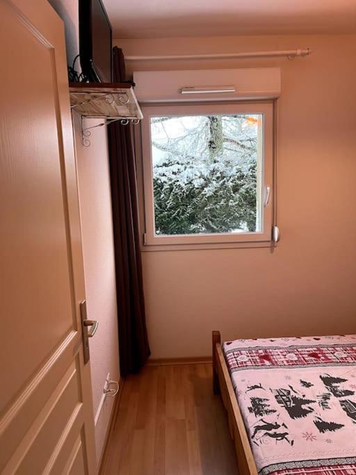 Le Petit Bonhomme De Neige Apartment Gérardmer Exterior photo